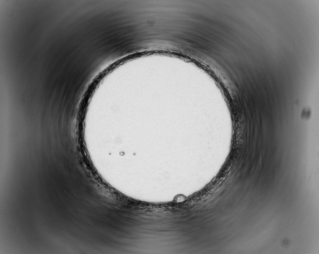 X0000103440975200810241117