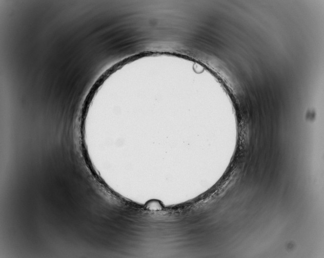X0000103440976200810241117