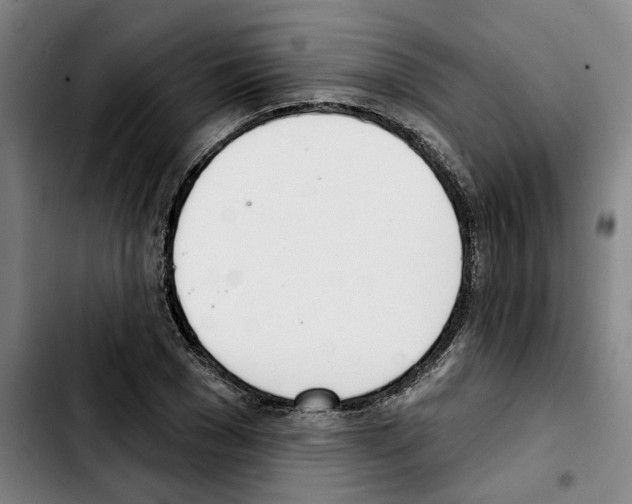 X0000103440977200810241117