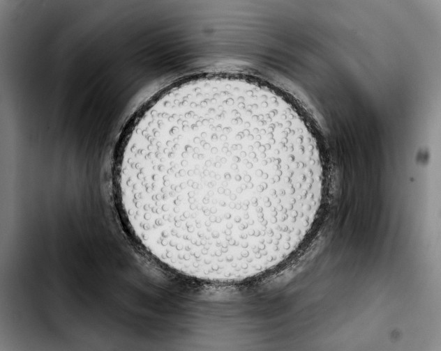 X0000103440978200810241117