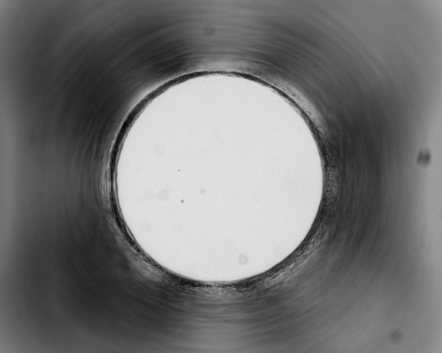 X0000103440980200810241117