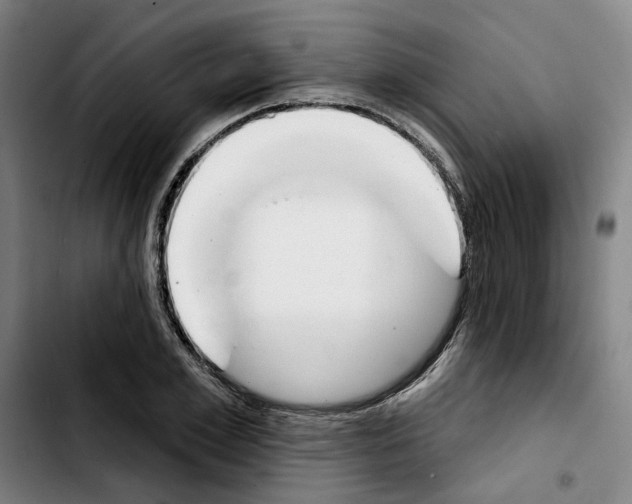 X0000103440981200810241117