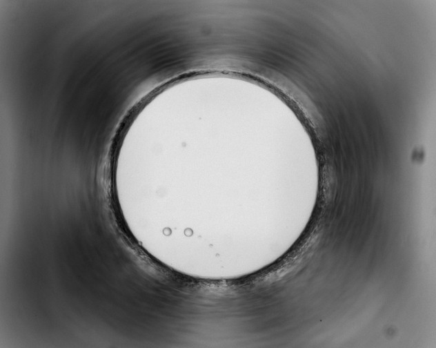 X0000103440982200810241117