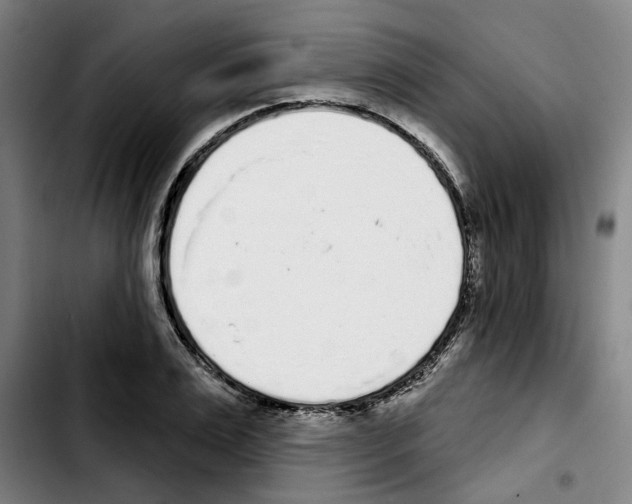 X0000103440983200810241117