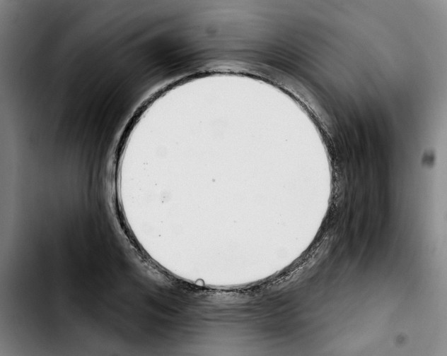 X0000103440984200810241117