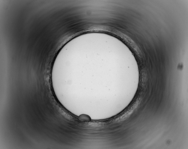 X0000103440985200810241117