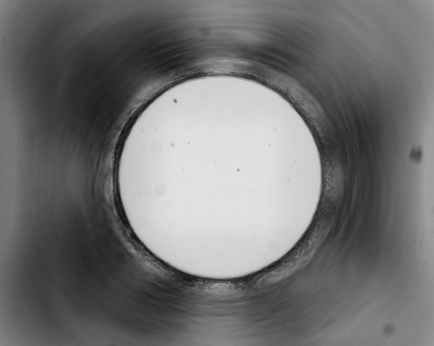 X0000103440986200810241117