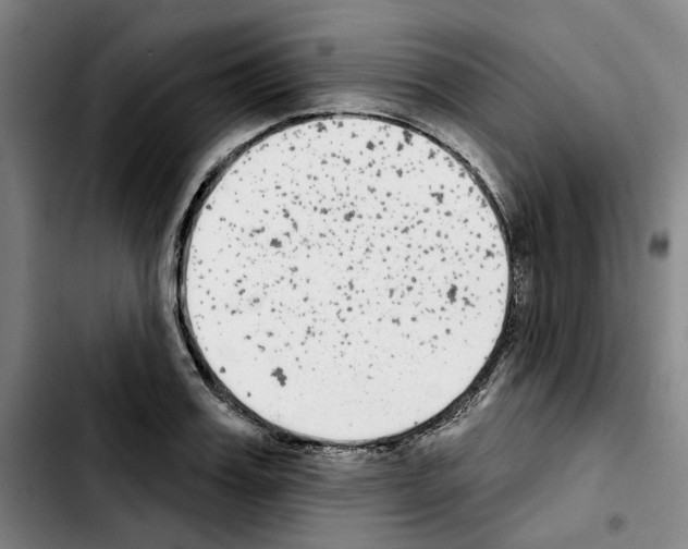 X0000103440987200810241117