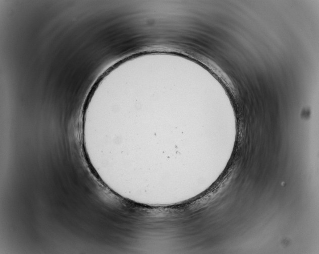 X0000103440988200810241117