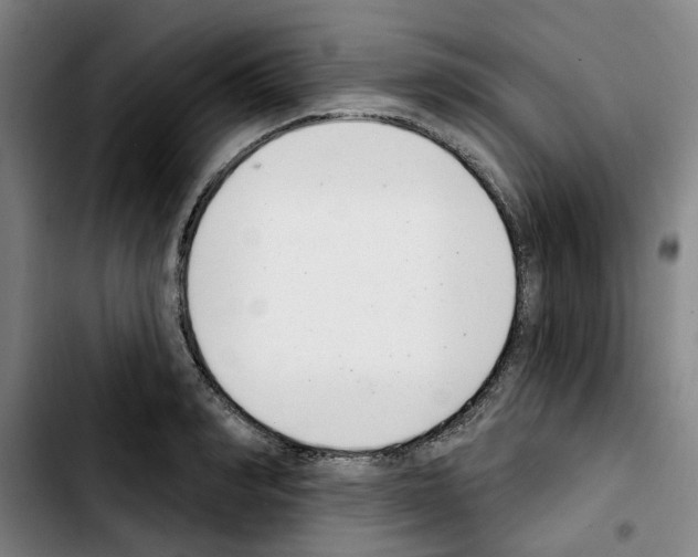 X0000103440990200810241117