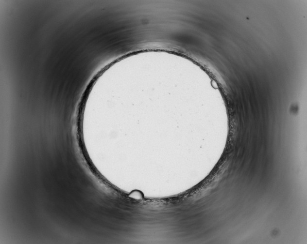 X0000103440991200810241117