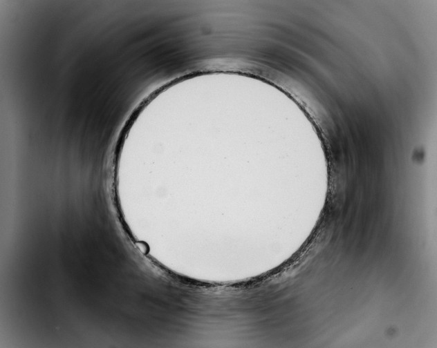 X0000103440992200810241117