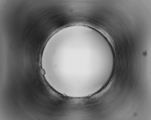 X0000103440993200810241117