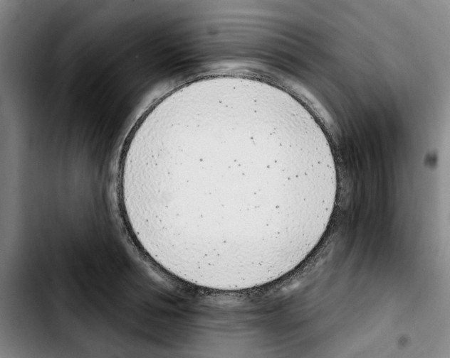 X0000103440994200810241117