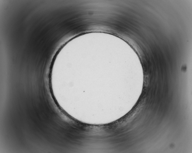 X0000103440995200810241117