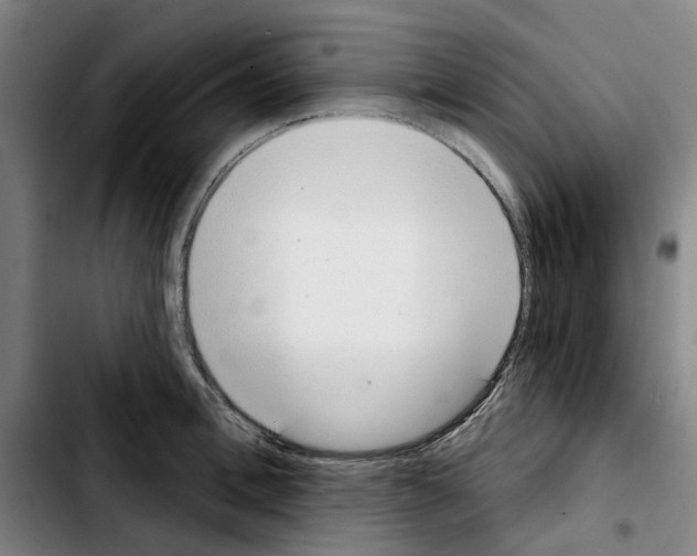 X0000103440996200810241117