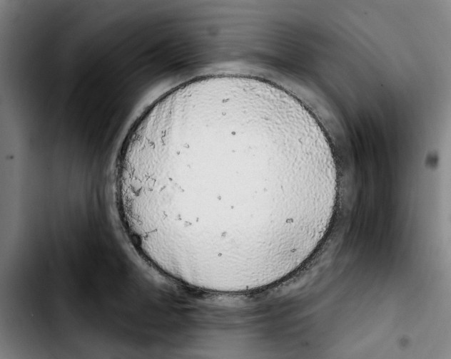 X0000103440998200810241117