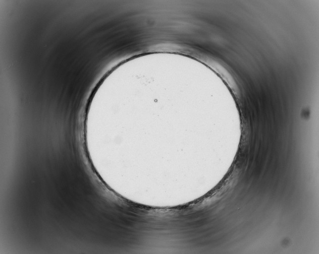 X0000103441000200810241117