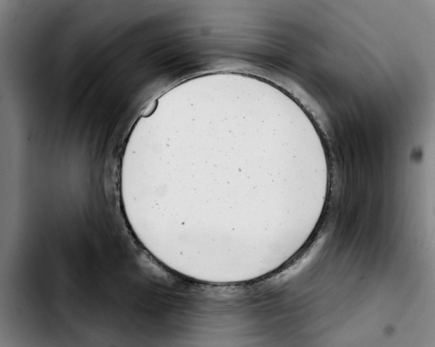 X0000103441001200810241117