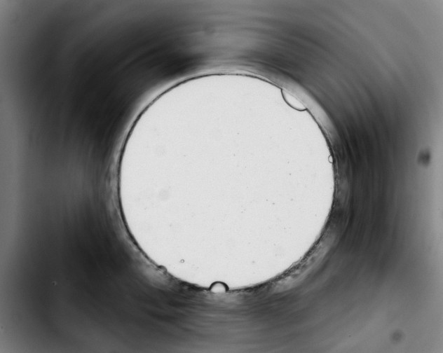 X0000103441004200810241117