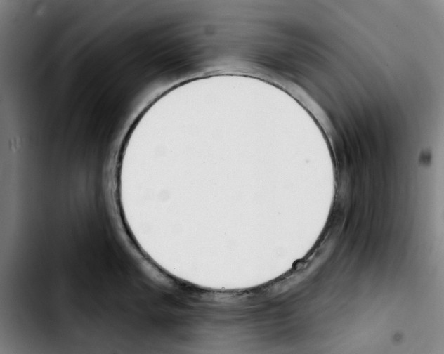 X0000103441005200810241117