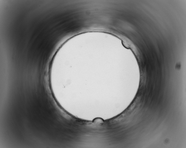 X0000103441006200810241117
