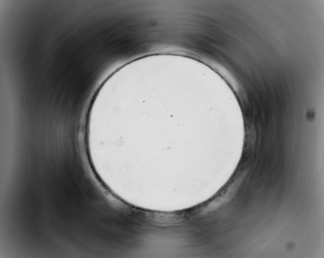 X0000103441007200810241117