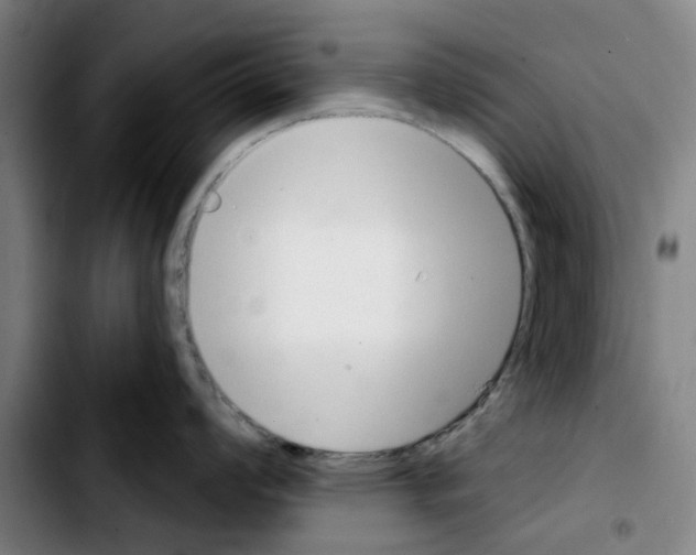 X0000103441008200810241117