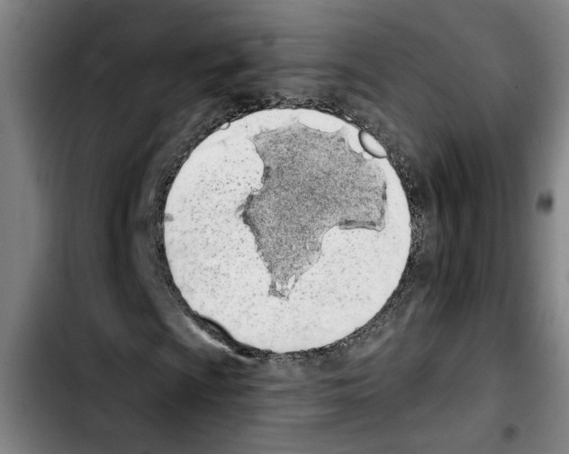 X0000103441009200810241116