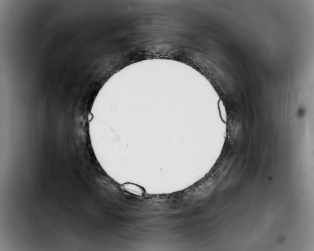 X0000103441010200810241116