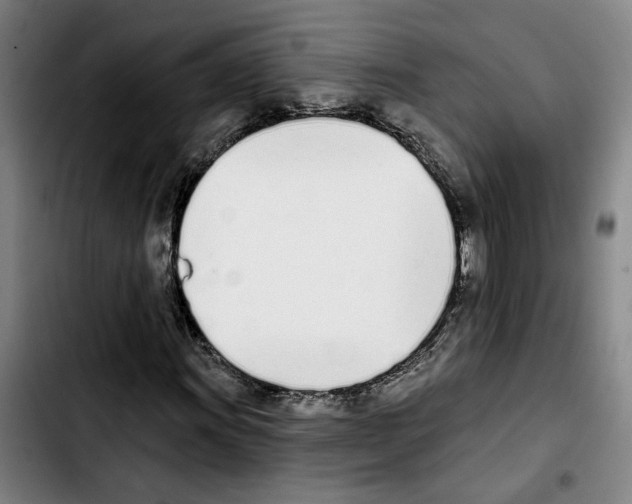 X0000103441011200810241116