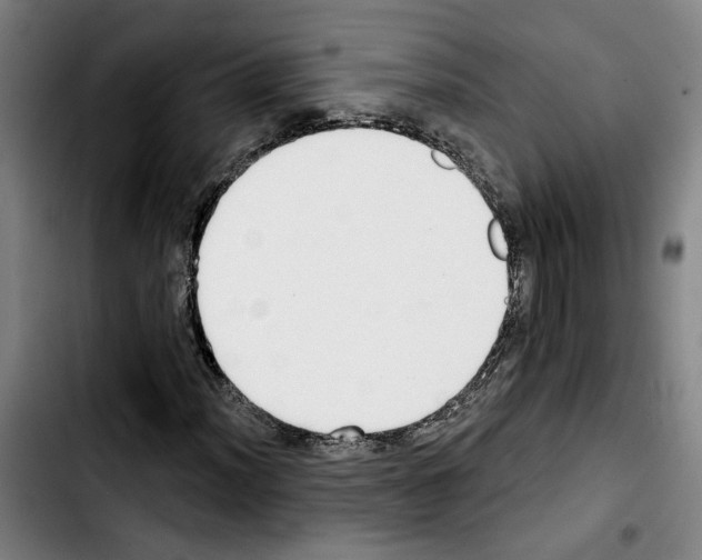 X0000103441012200810241116