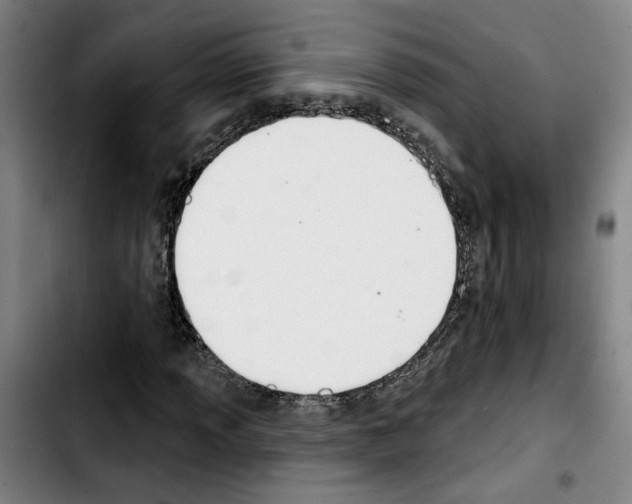 X0000103441013200810241116