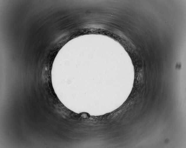 X0000103441014200810241116