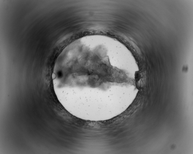 X0000103441015200810241116