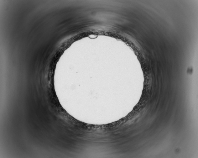 X0000103441016200810241116