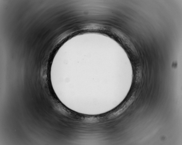X0000103441017200810241116