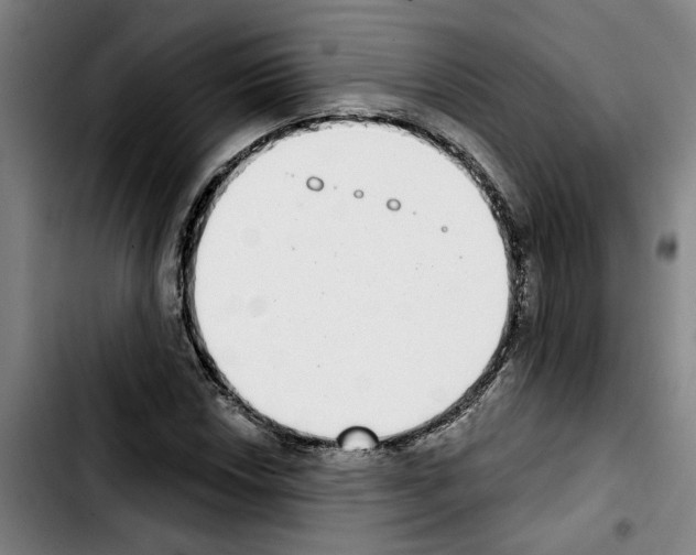 X0000103441018200810241116