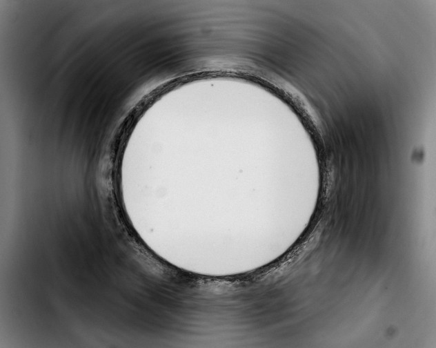 X0000103441019200810241116