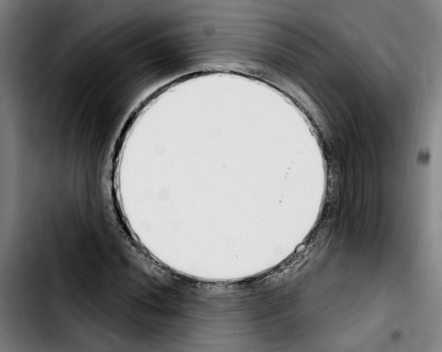 X0000103441020200810241116