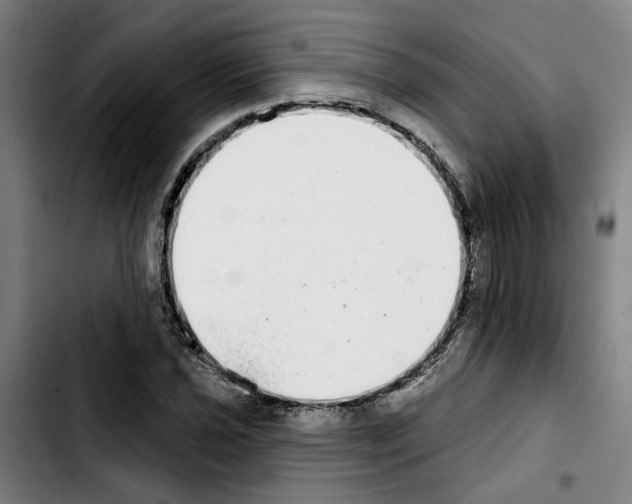 X0000103441021200810241116