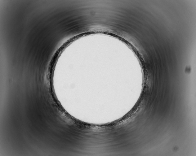 X0000103441022200810241116