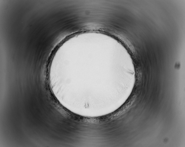 X0000103441023200810241117
