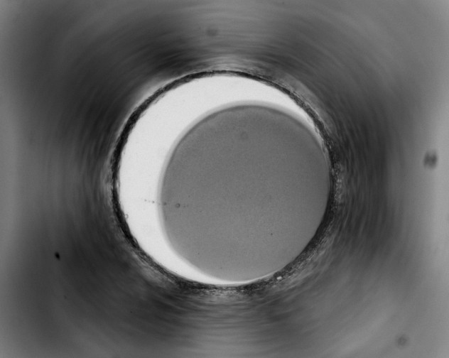 X0000103441024200810241117