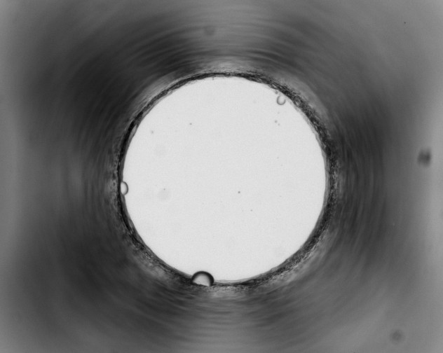 X0000103441025200810241117