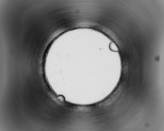 X0000103441026200810241117