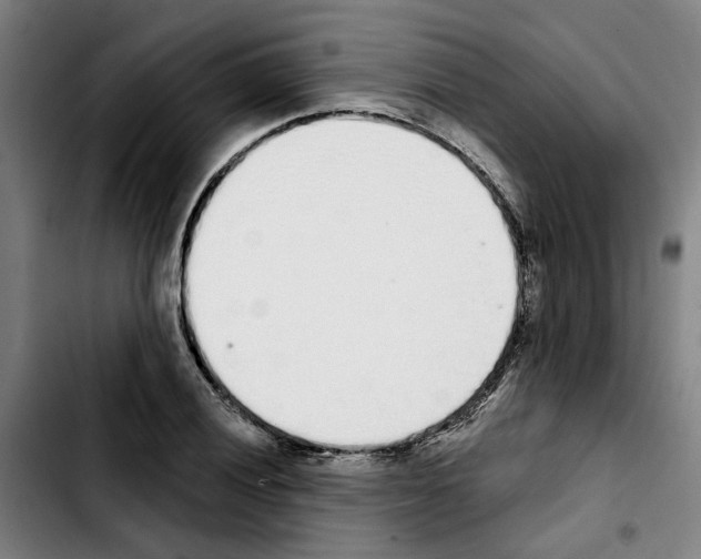 X0000103441028200810241117