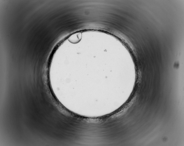 X0000103441029200810241117