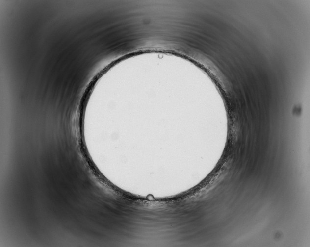 X0000103441030200810241117