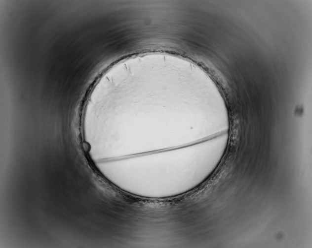 X0000103441031200810241117